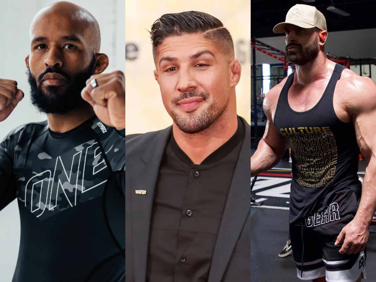 Brendan Schaub rekindles the thought of Demetrious Johnson vs. Bradley Martyn amidst the former's recent win against a 250 pounder