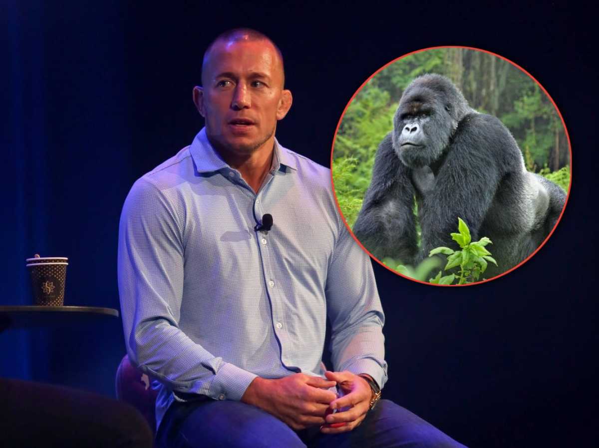 “Don’t think Karate and jiu-jitsu would have been useful…” UFC legend Georges St-Pierre hilariously looks back at wild encounter with Gorilla