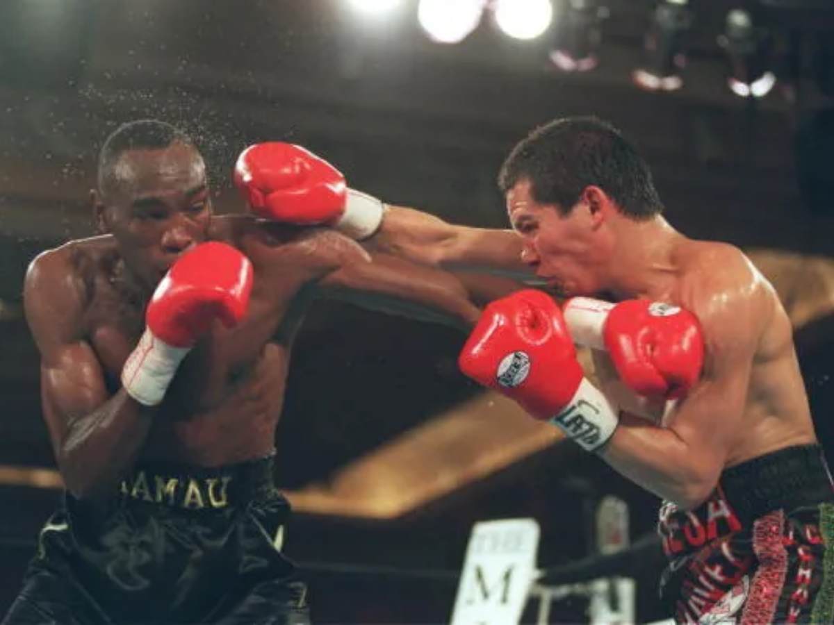 Julio Cesar Chavez vs Roger Mayweather1