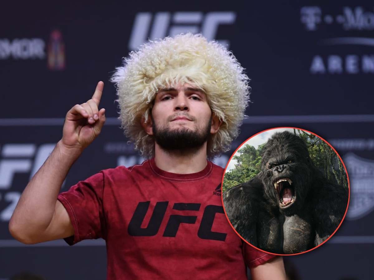 Khabib Nurmagomedov's infamous callout to King Kong