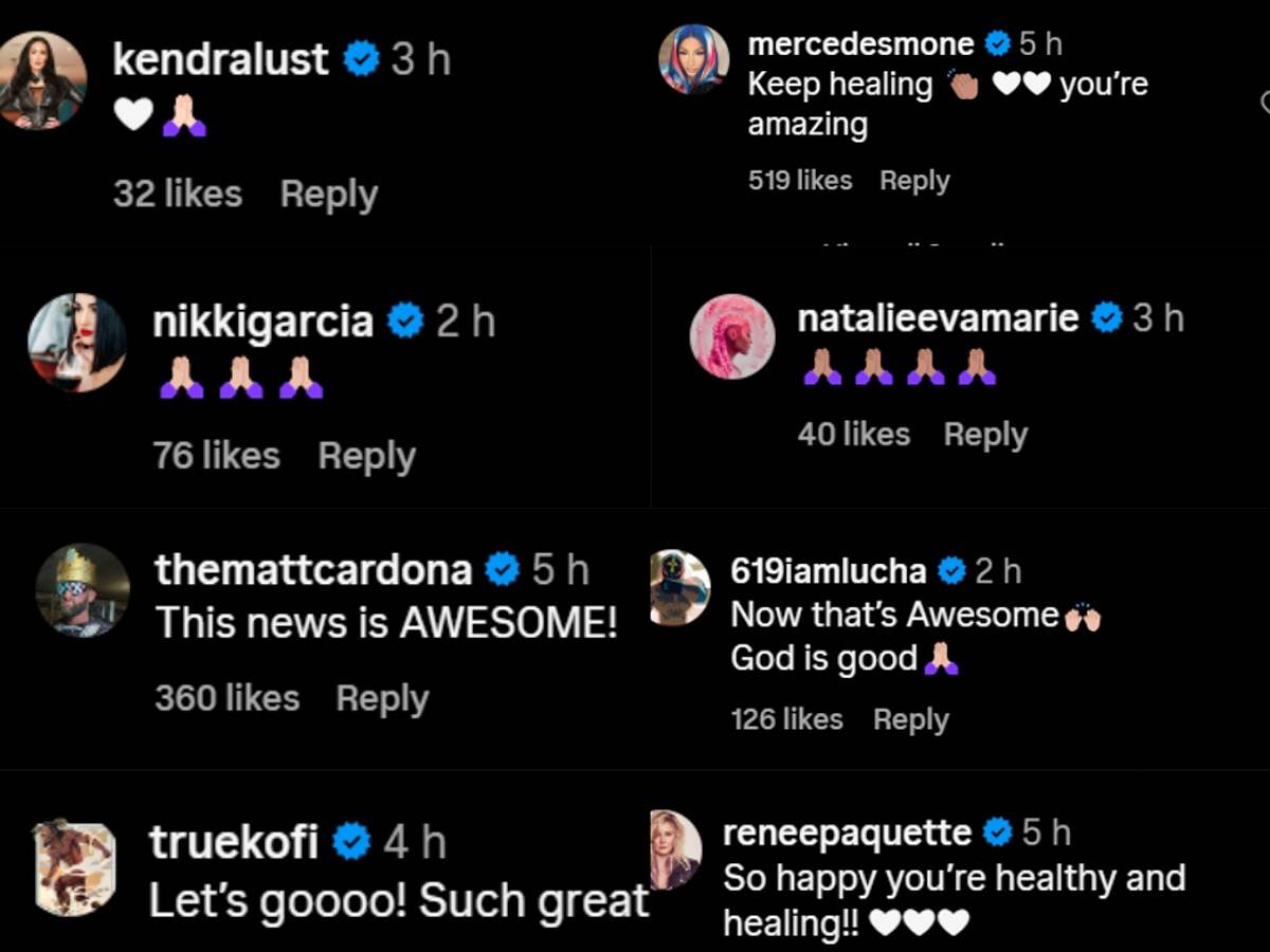 Multiple wrestlers and personalities express their support to Maryse