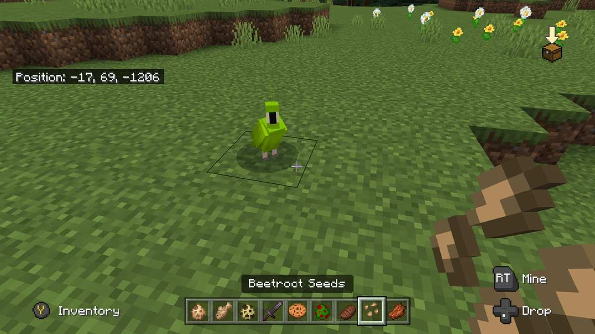 Parrots Minecraft