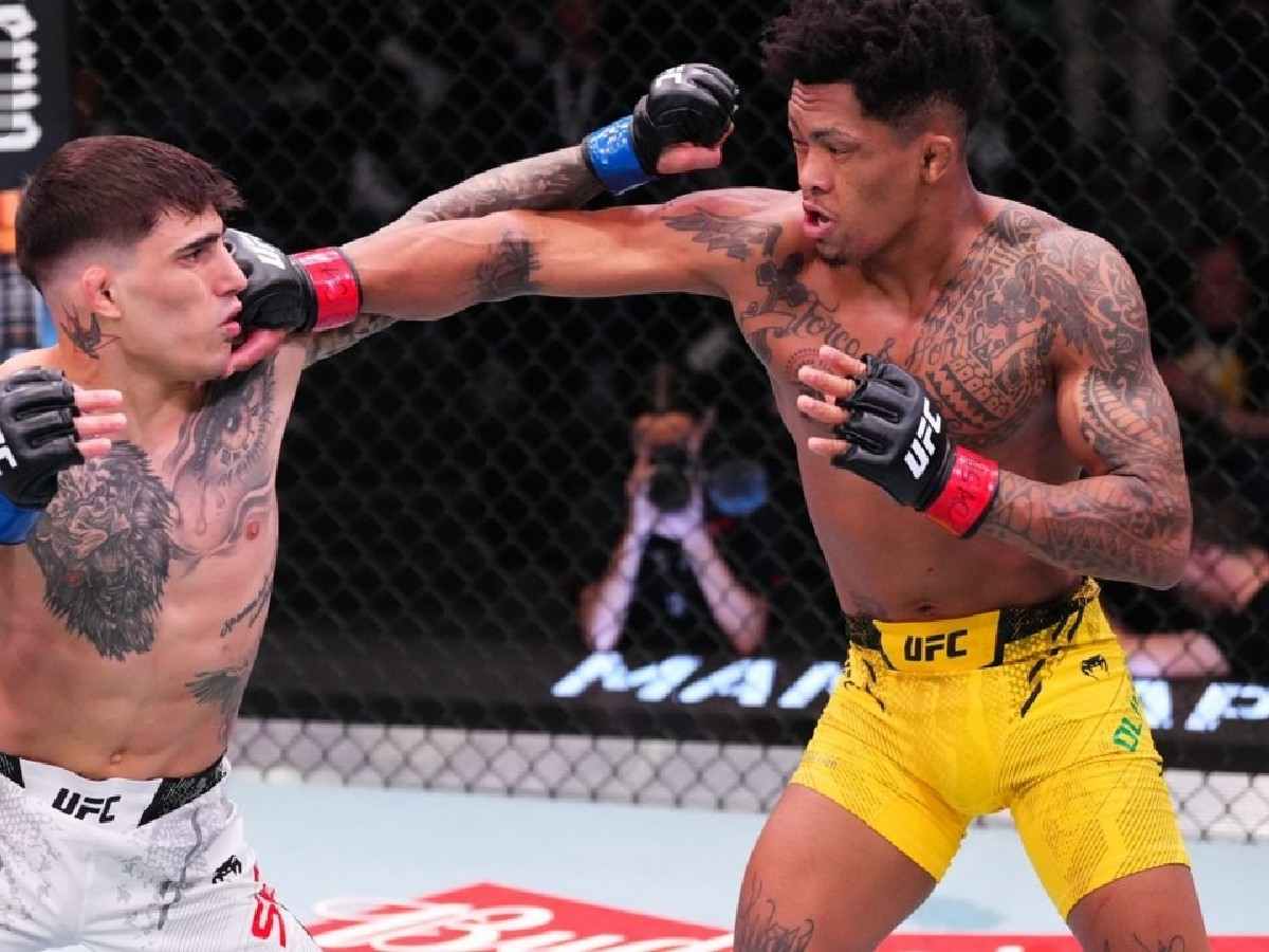 Fight gans reacted to Vinicius Oliveira's highlight knockout