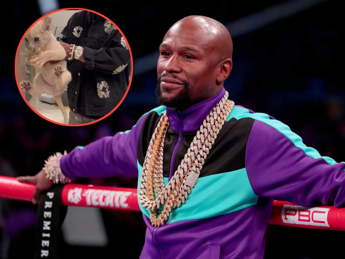 WATCH: $450 million worth Floyd Mayweather plays with lion cub during Dubai trip