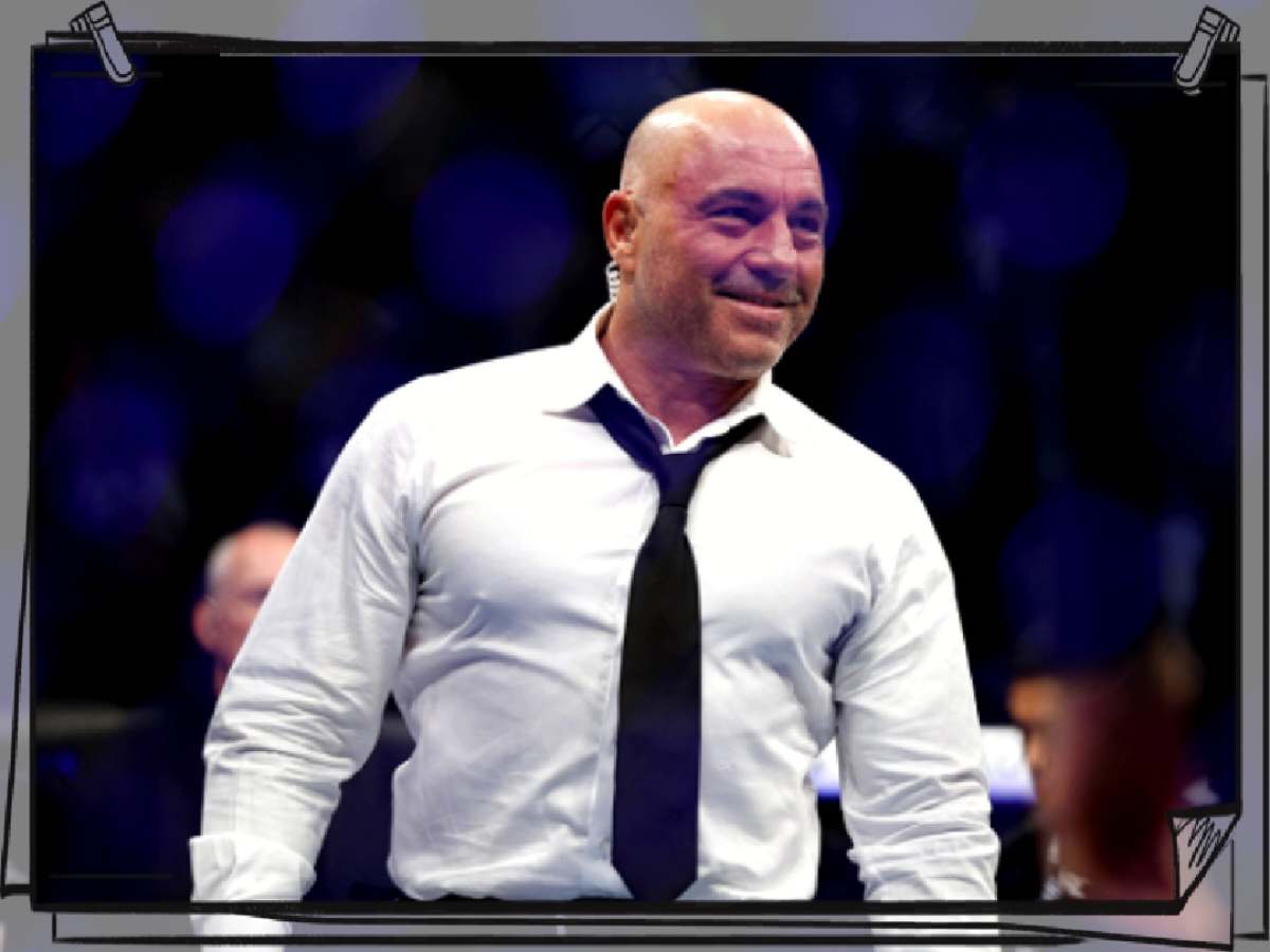 Joe Rogan details his career change from combat sports practitioner to commentating on it