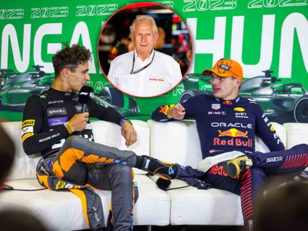 Lando Norris and Max Verstappen, Helmut Marko (in circle) (images via IMAGO).