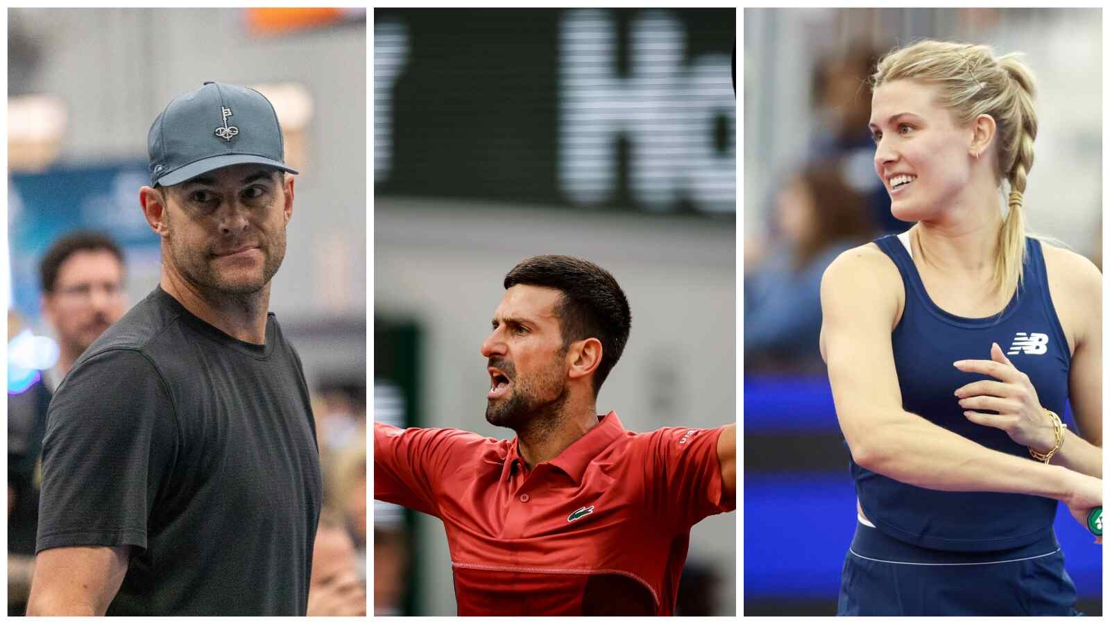 “If I had to bet on it, I’d say…” Andy Roddick and Eugenie Bouchard delivers strong statement about Novak Djokovic’s chance of winning another Grand Slam