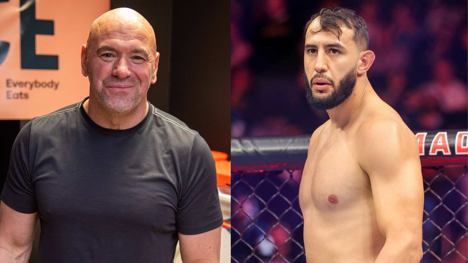 Dana White makes up for snubbing Dominick Reyes of $50K bonus after comeback KO win