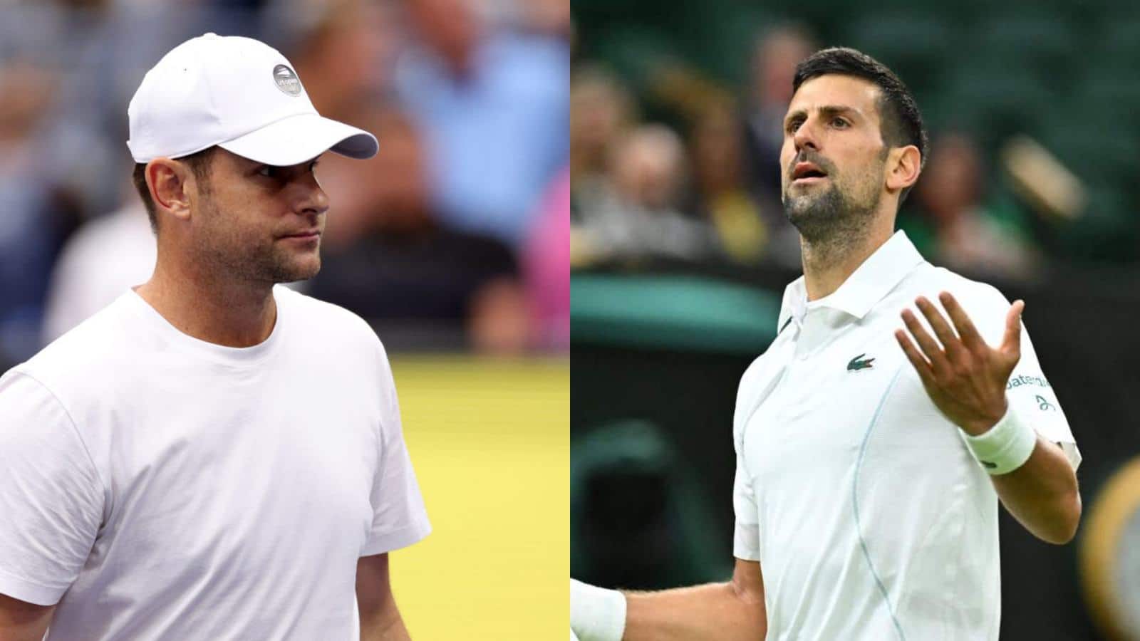 “It’s incredible that he reached final,” Andy Roddick turns defendant from critic for Novak Djokovic after Serbian’s 2024 Wimbledon campaign