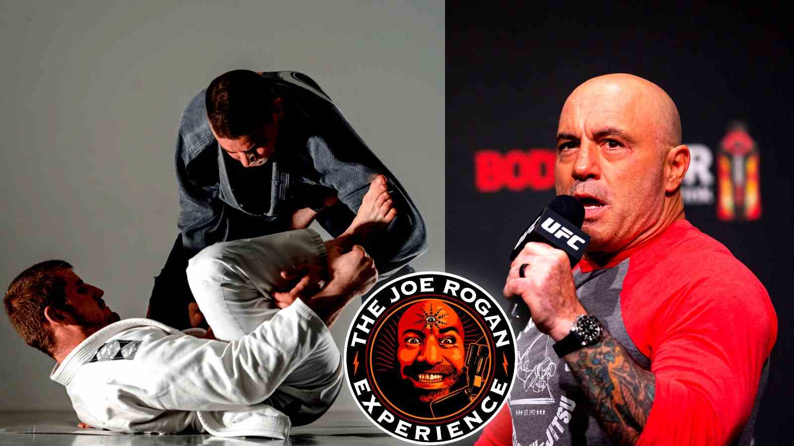 “Number one, no standups ever!” Comedian and commentator Joe Rogan reveals rule changes if he was king