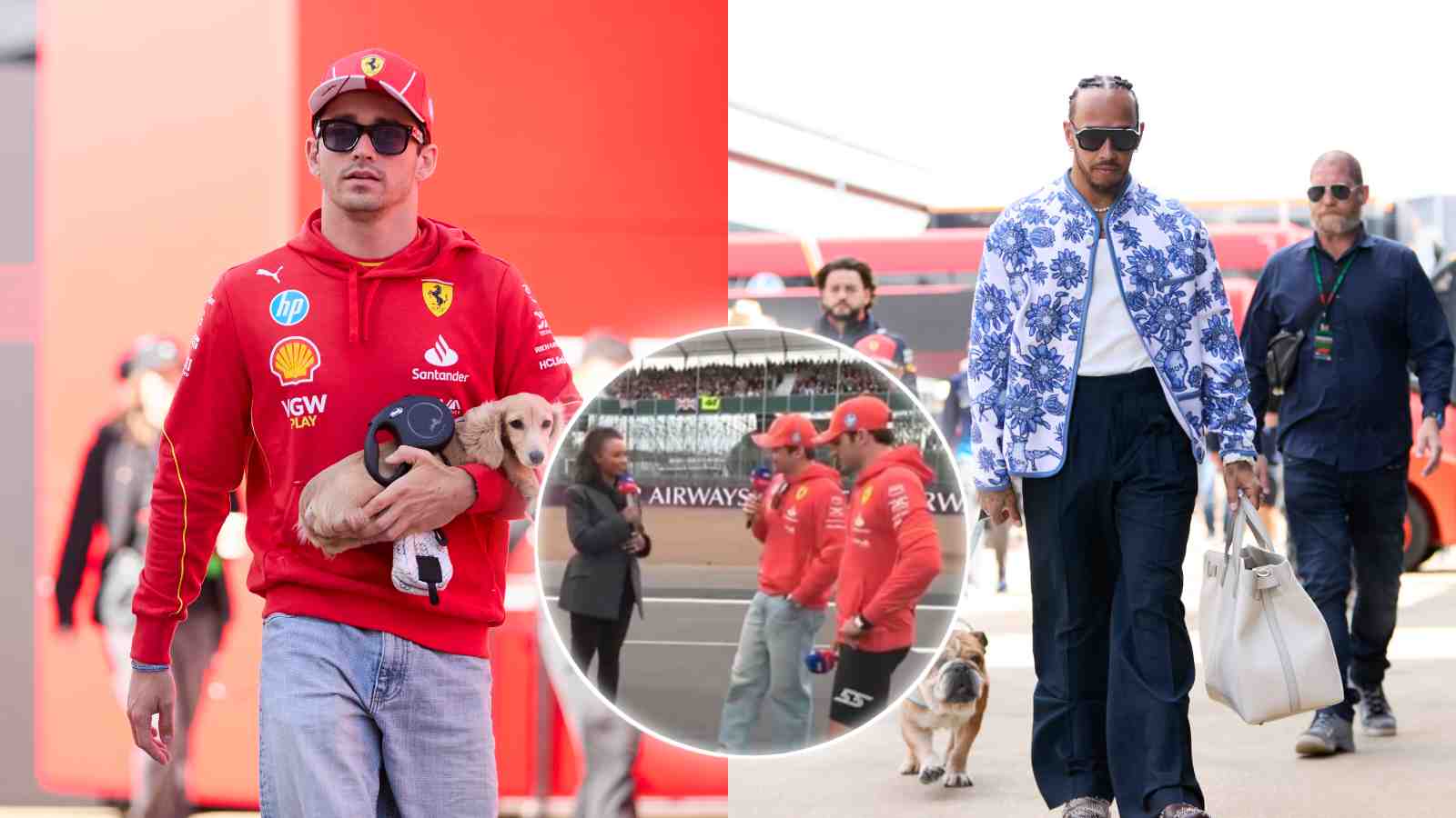 WATCH: Charles Leclerc wants his new puppy Leo to be friends with Lewis Hamilton’s dog Roscoe