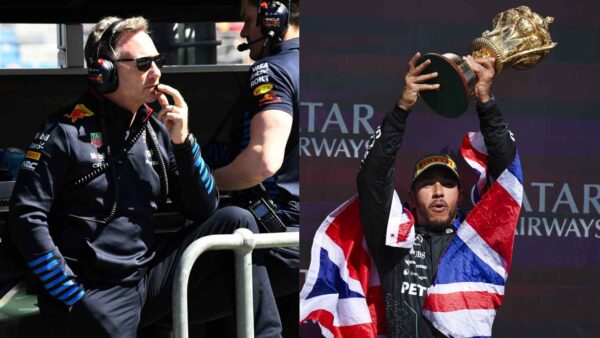 Christian Horner and Lewis Hamilton