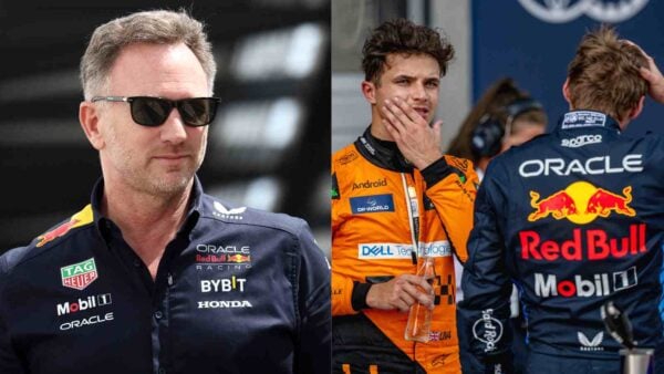 Christian Horner and Lando Norris with Max Verstappen