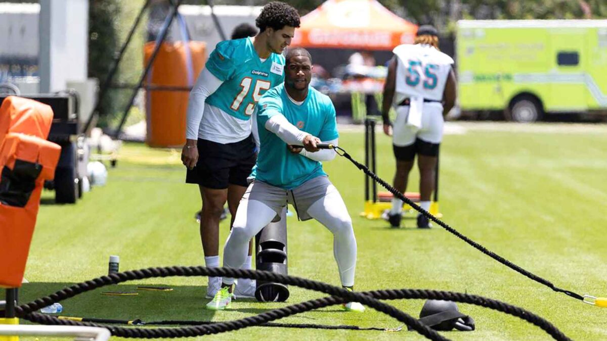 Jonnu Smith will bring a different facet to Miami Dolphins offense