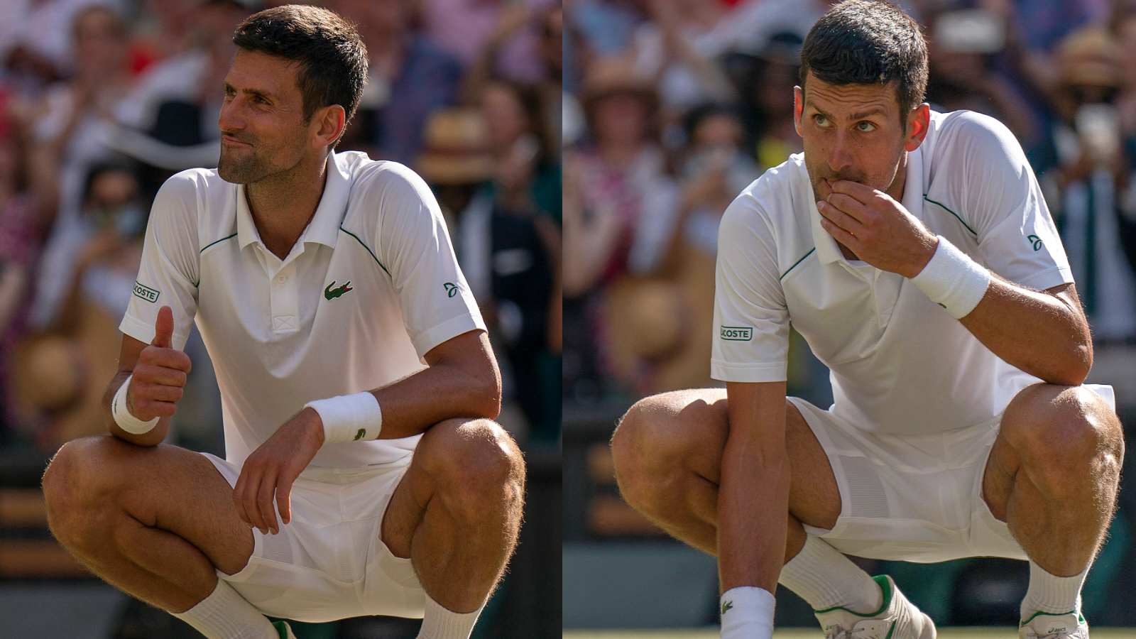 WATCH: “The best taste you can ever have”- Novak Djokovic reveals what Wimbledon grass tastes like