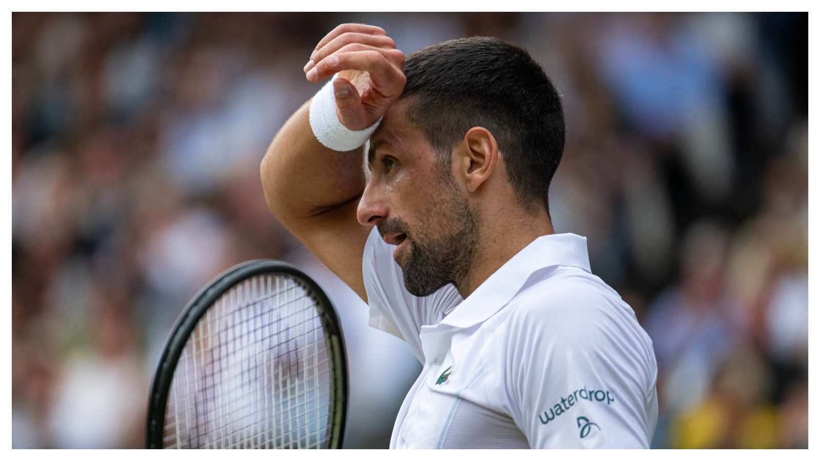 “Not happy with me being among the best,” Novak Djokovic feels support for Carlos Alcaraz or other emerging stars is more out of hate for him