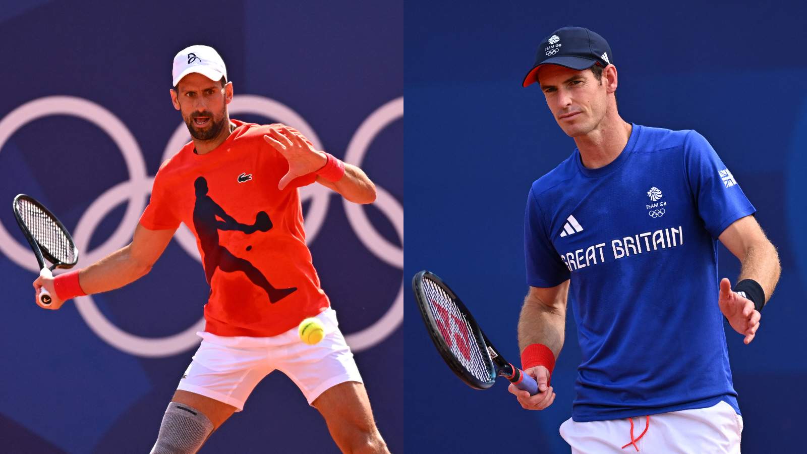 Former ATP player believes Novak Djokovic's collaboration with Andy ...