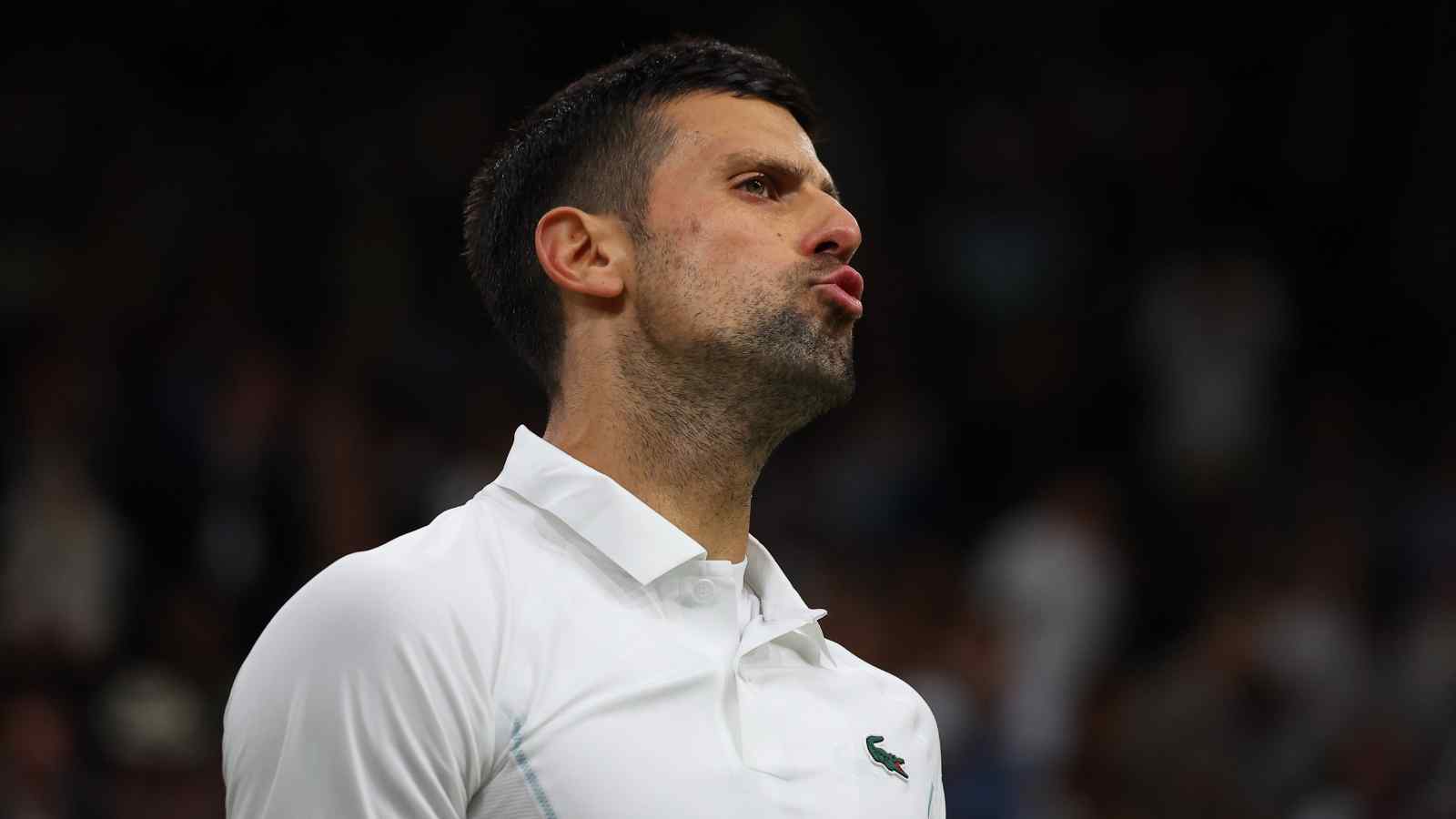 “CANCER on our beloved sport” – Fans troll ‘forever villain’ Novak Djokovic for his on-court antics against Holger Rune at Wimbledon