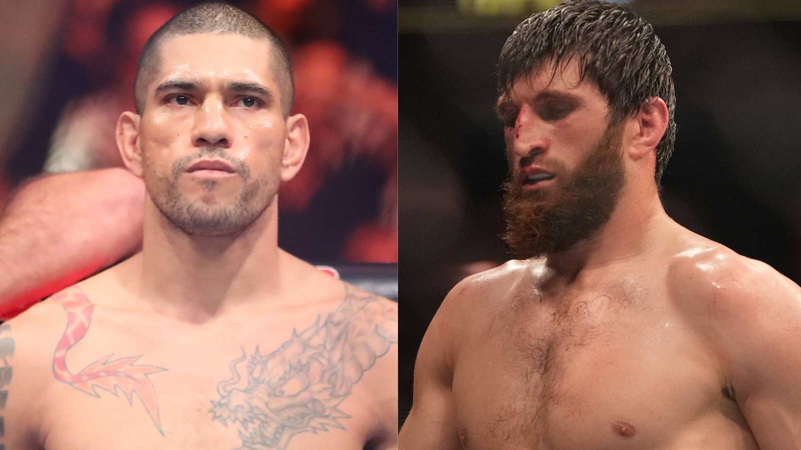 “This fight’s gonna bankrupt Vegas” – Opening odds favoring Magomed Ankalaev over Alex Pereira leaves fans puzzled