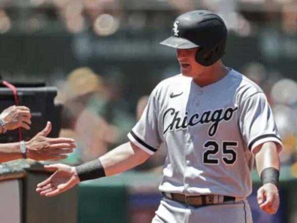 Chicago White Sox [Image Credit: Da Windy City]