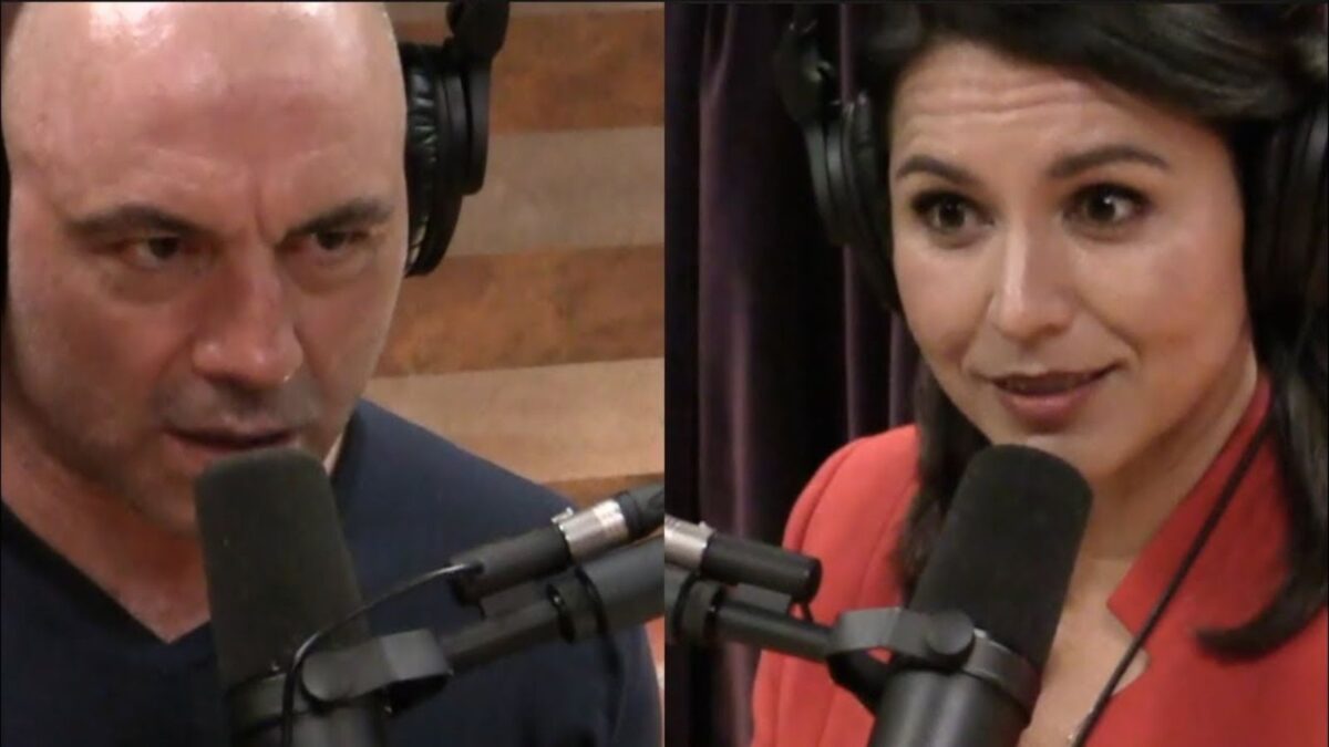 Joe Rogan and Tulsi Gabbard (2)