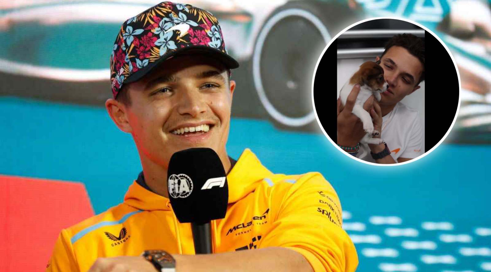 (Video) ‘Dog lover’ Lando Norris delighted to receive an adorable surprise from fans