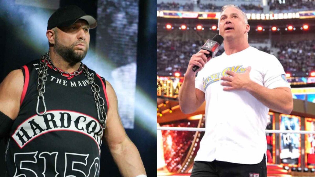 Bully Ray and Shane McMahon