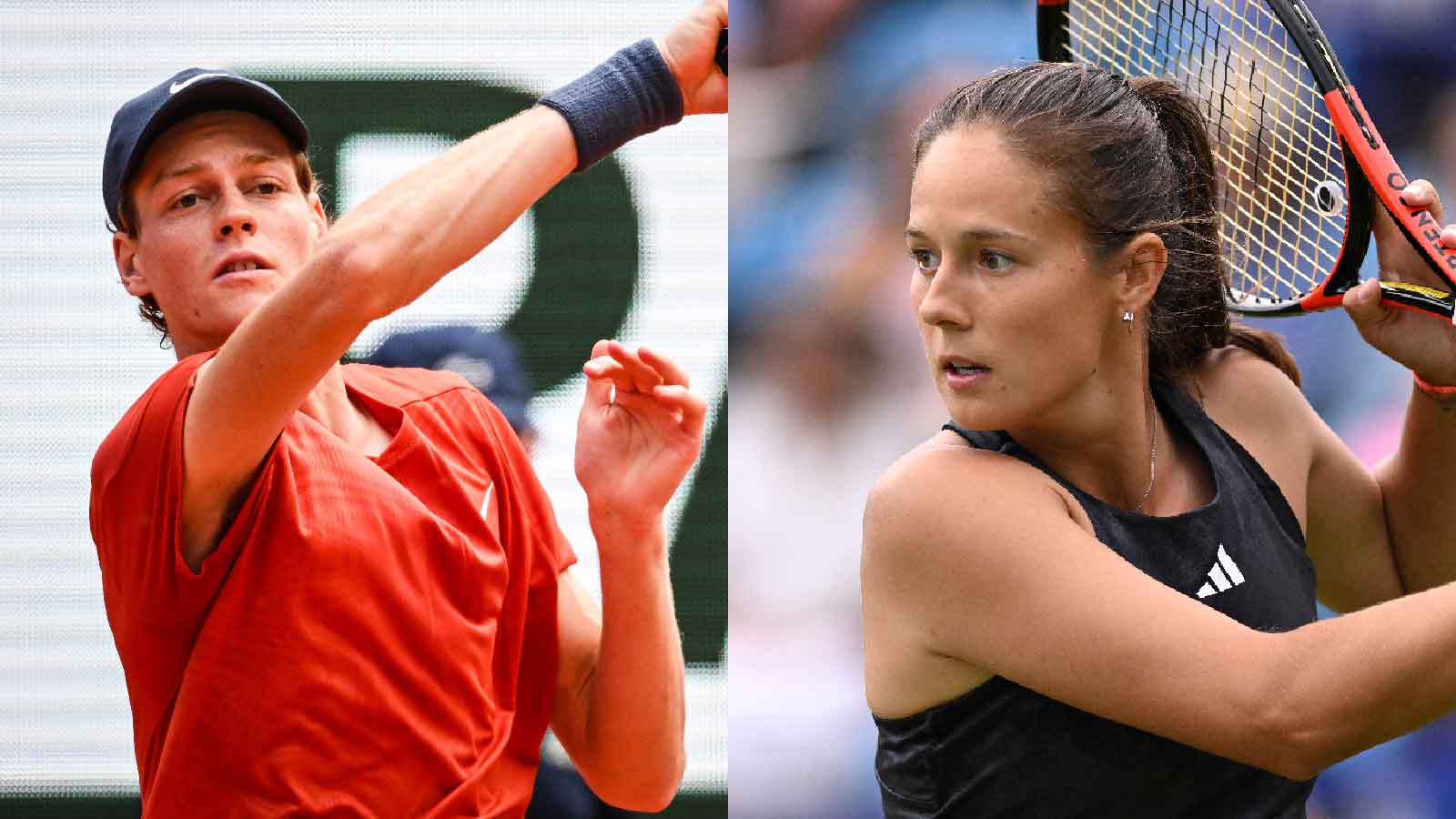 Daria Kasatkina declares Jannik Sinner innocent as she admits to Italian’s advantage in doping scandal