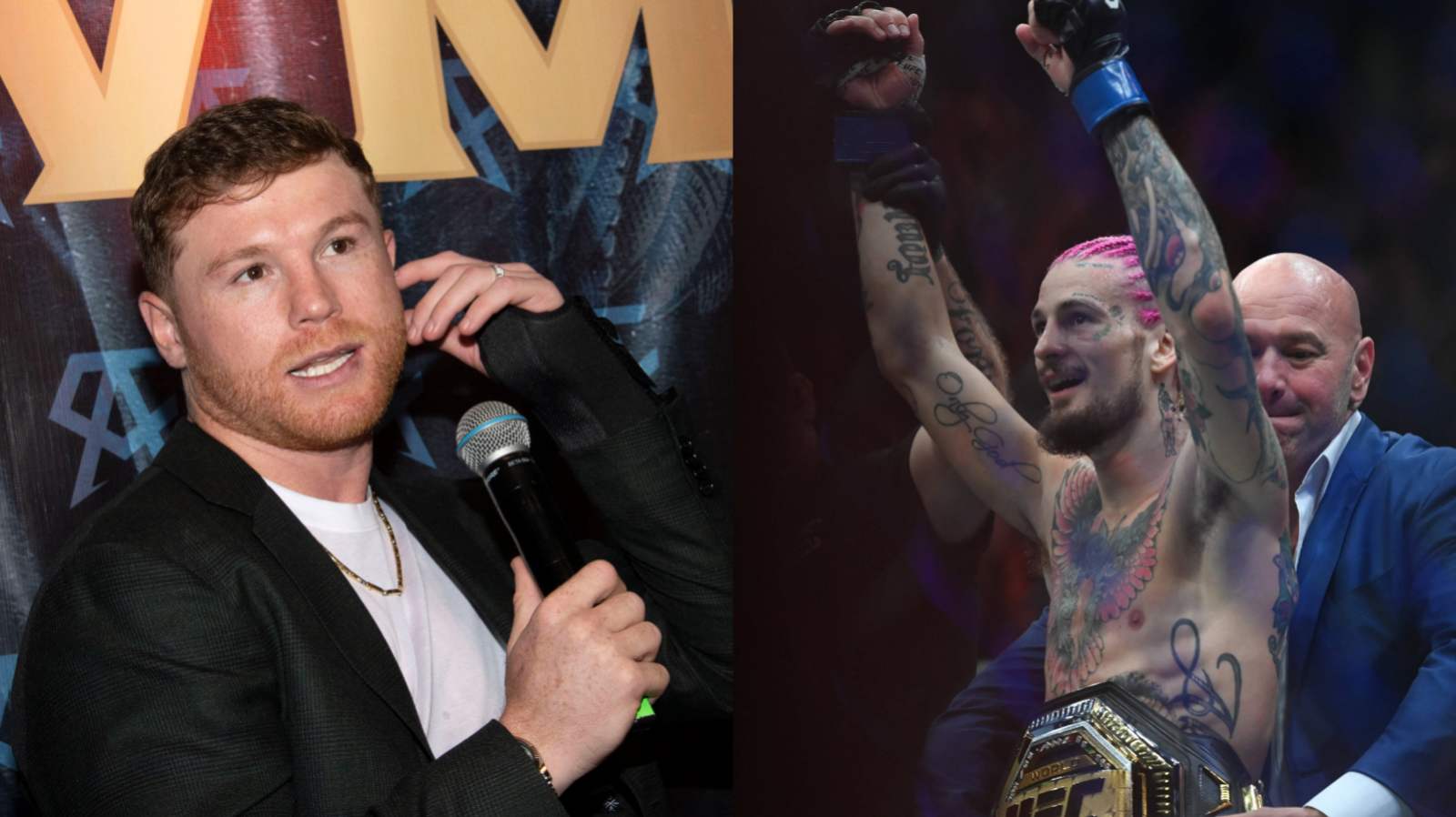 “Canelo’s fighting burrito…” Sean O’Malley confident on destroying Canelo Alvarez in PPV sales during head-to-head clash