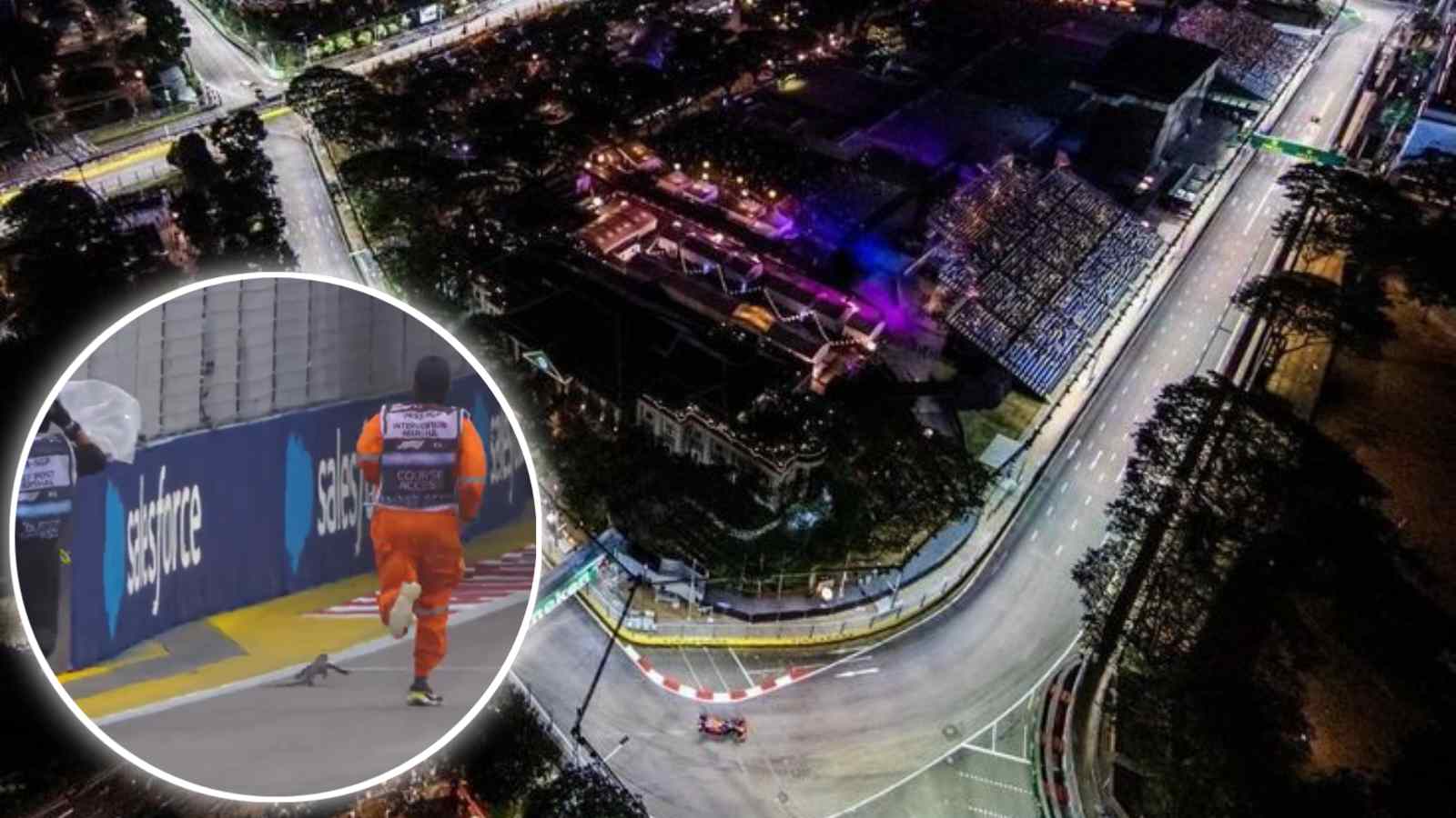 (Video) Track Marshals HILARIOUSLY fail at clearing a LIZARD on-track at Singapore GP