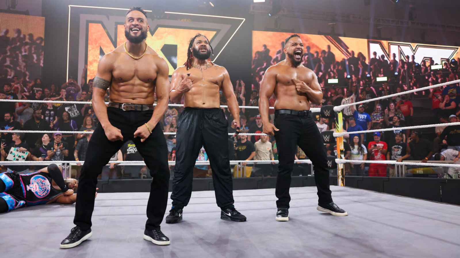 Bloodline members reveal reason behind surprise invasion on WWE NXT to cause abrupt end to title match