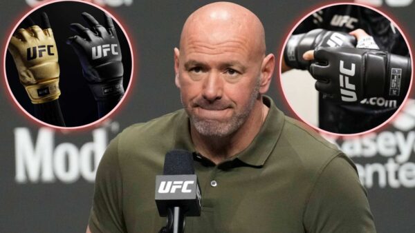 A netizen provides stats for Dana White regarding the new UFC gloves