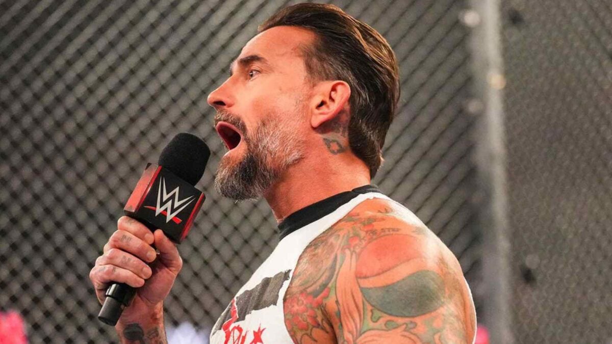 CM Punk Hell in a Cell