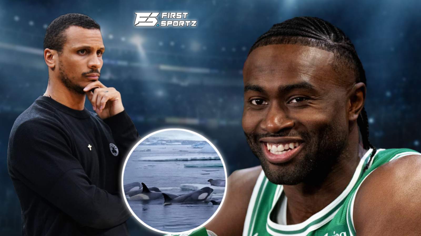 Boston Celtics REVEALED to be studying ‘killer whales’ after coach Joe Mazzulla’s instructions