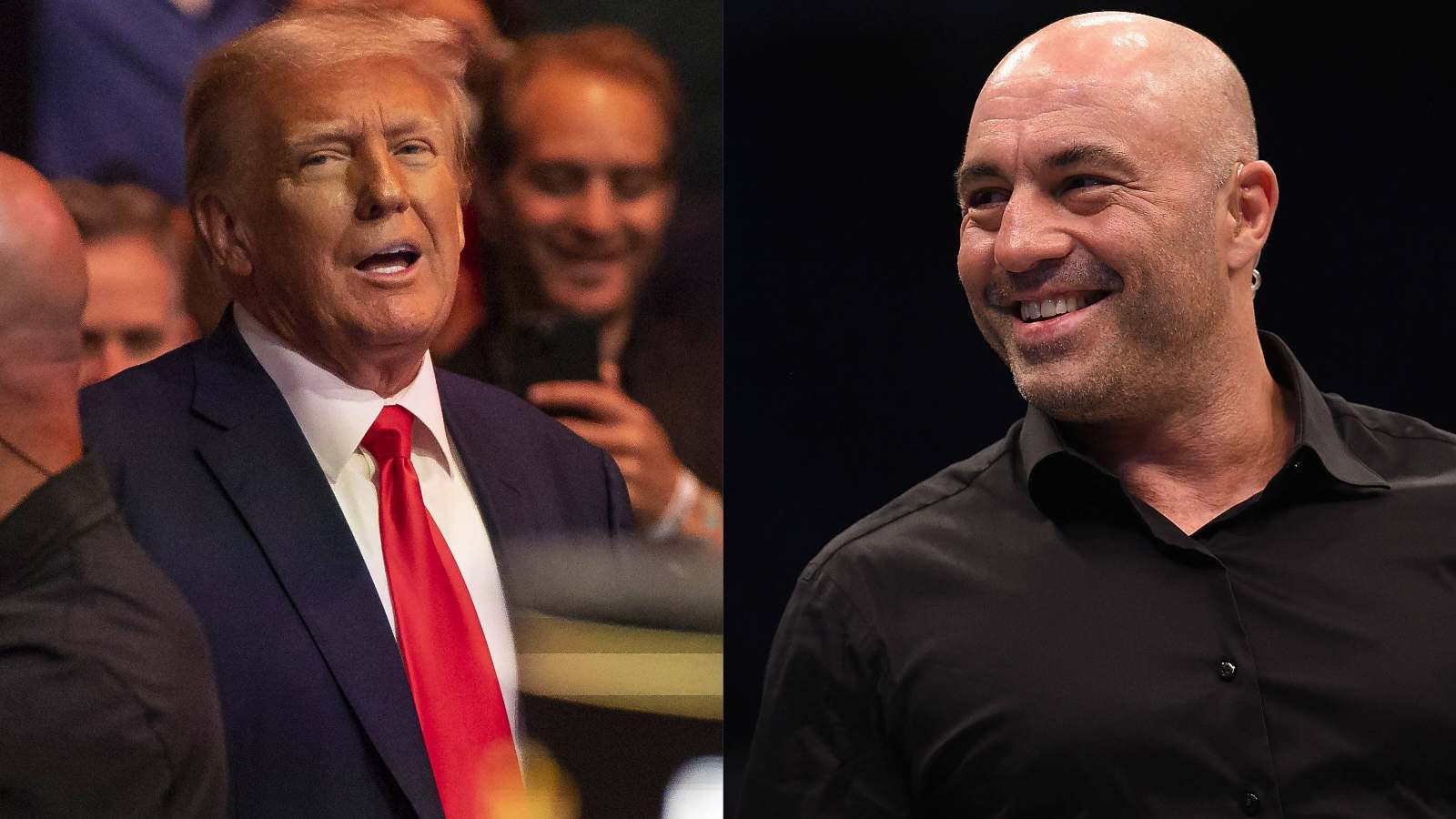 “I’ll be depressed…” Joe Rogan in splits after Donald Trump’s condition to attend UFC 309 at Madison Square Garden