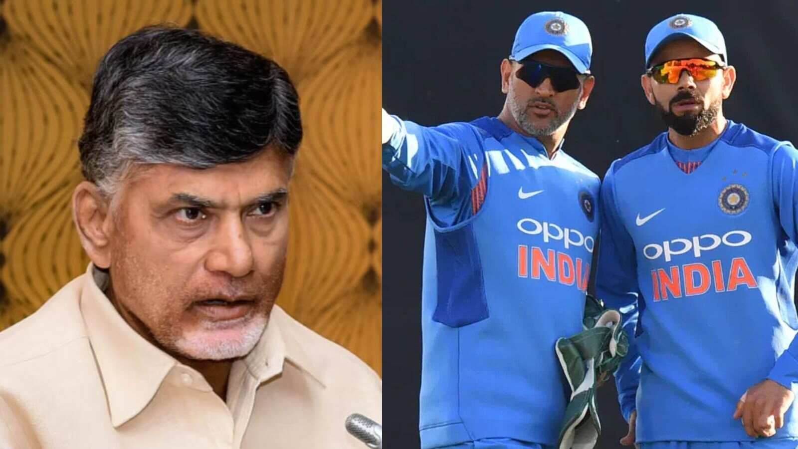 N. Chandrababu Naidu picked his choice between Virat Kohli and MS Dhoni