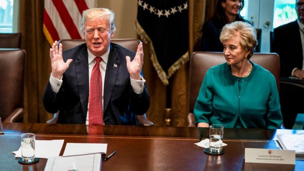 Donald Trump and Linda McMahon