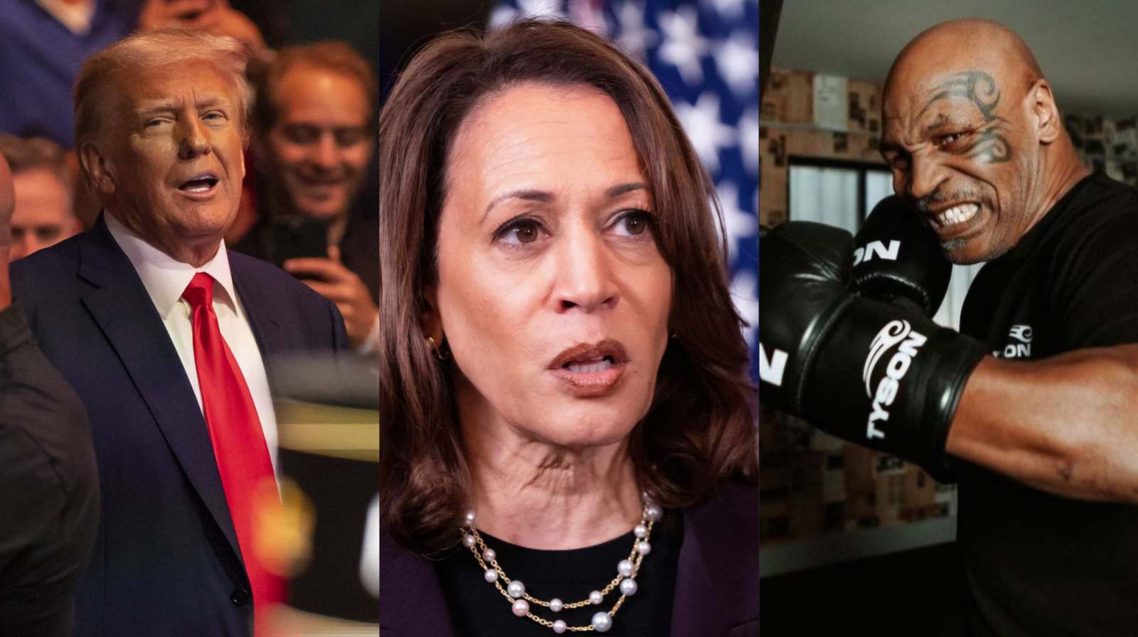 Donald Trump suggesting Kamala Harris vs Mike Tyson boxing match days before Election win is going viral