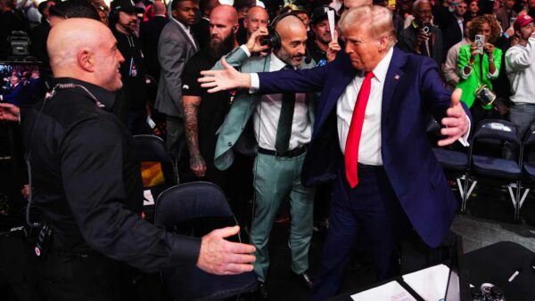 Fans dub Donald Trump and Joe Rogan link up as a new budding bromance in UFC