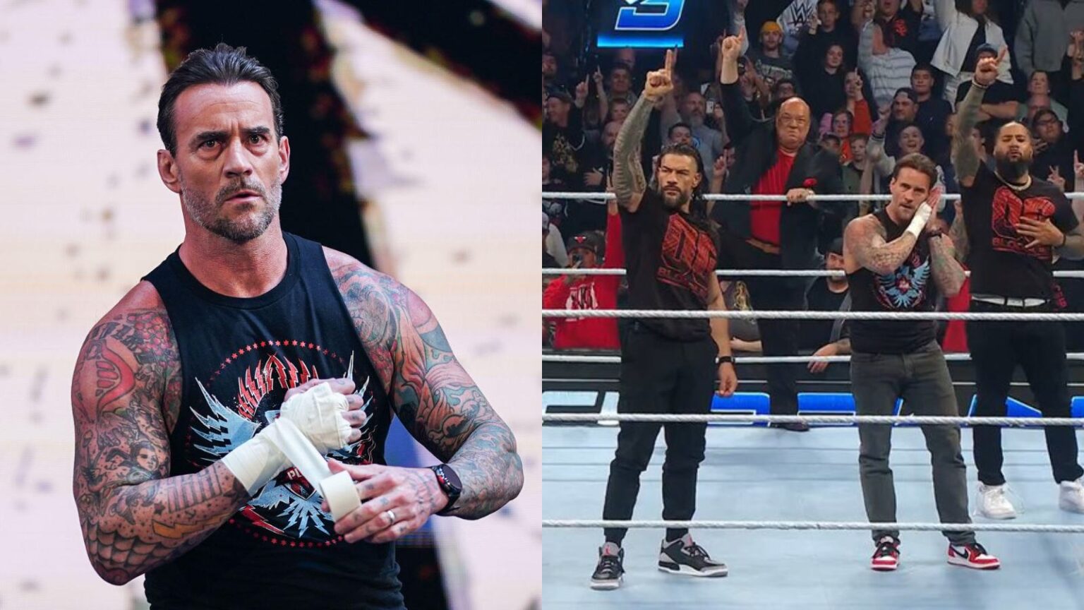 CM Punk seemingly reveals reason behind shockingly joining forces with ...