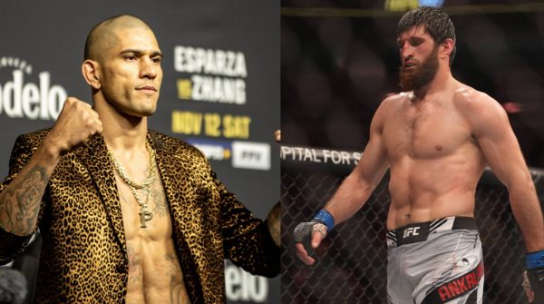 Alex Pereira gives an update about his potential fight against Magomed Ankalaev