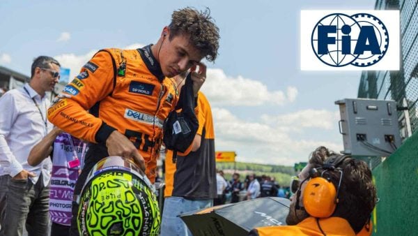 Lando Norris, FIA