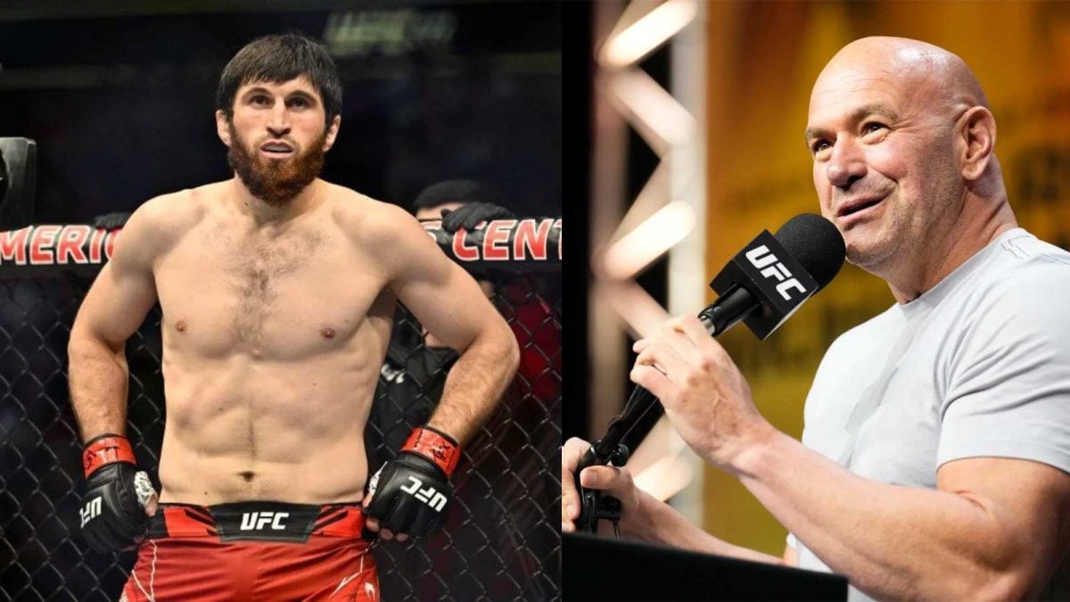 Magomed Ankalaev claims Dana White has promised Alex Pereira match up