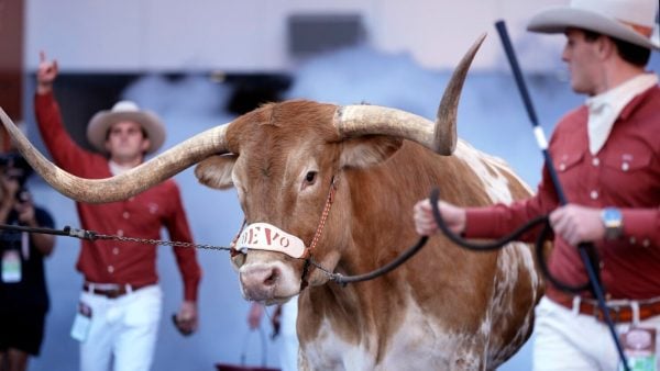 Texas Mascot, Bevo