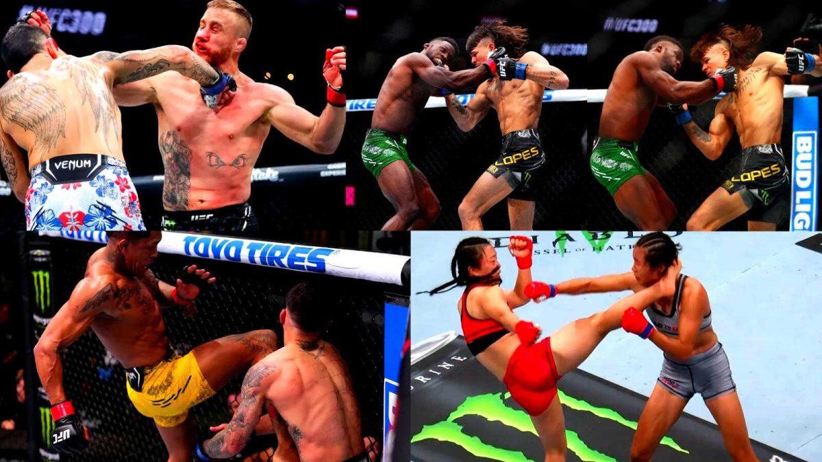 This year had other notable UFC knockout victories as well