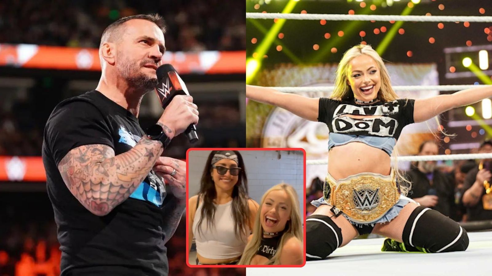 WATCH: WWE Superstars reveal their goals for 2025 feat. CM Punk, Liv Morgan, and more