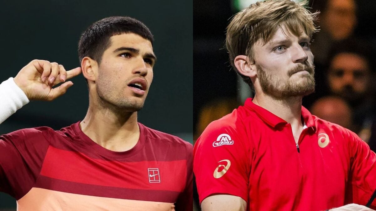 Carlos Alcaraz and David Goffin