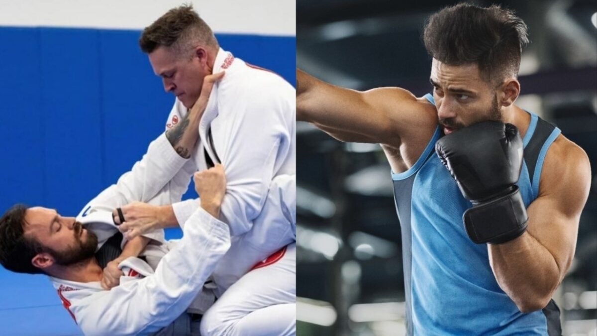 Joe Rogan talks about self defence techniques 