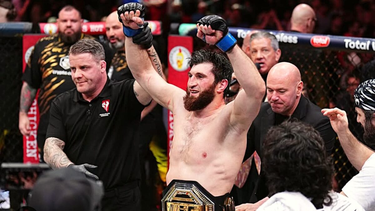 Alex Pereira claps back at grease controversy after serious accusations from team Magomed Ankalaev 4 Magomed Ankalaev, the new champion of UFC light heavyweight division